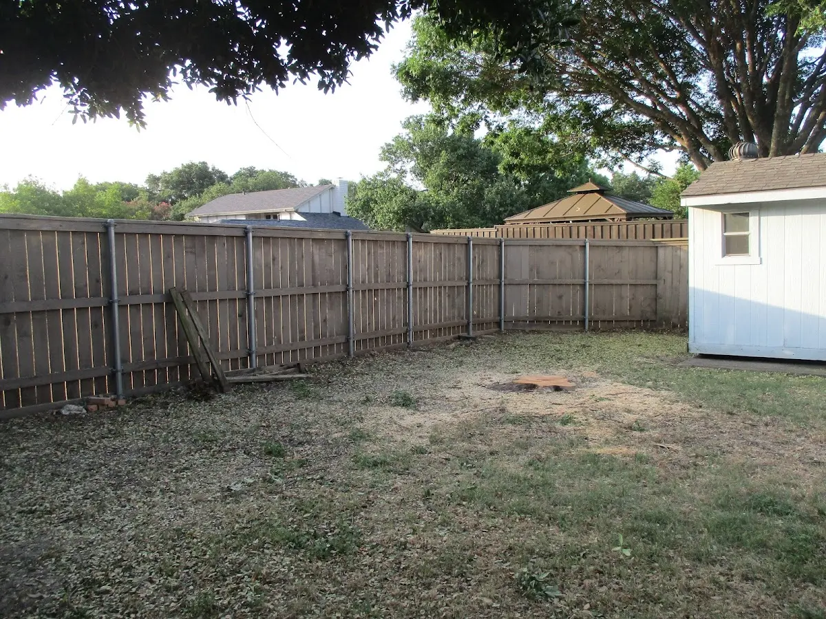 Cleared yard after professional tree removal in Jersey Mills
